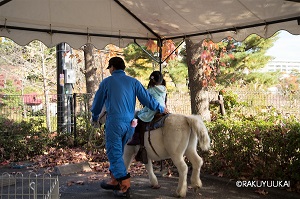 移動動物園ポニー乗馬